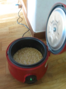 in the rice cooker